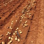 image00013 - Copy image00013 - Copy